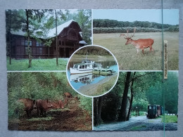 Kov 716-4 - HUNGARY, GEMENC, RAILWAY, TRAIN, CHEMIN DE FER, ROE DEER, CERF, WILD BOAR, SANGLIER - Hongrie