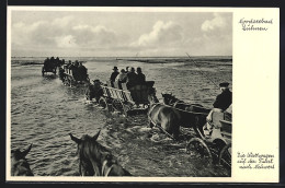 AK Cuxhaven-Döse, Wattwagen Auf Der Fahrt Nach Neuweck  - Cuxhaven