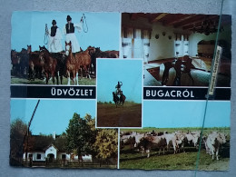 Kov 716-4 - HUNGARY, BUGAC, HORSE, CHEVAL - Hungary