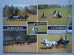 Kov 716-4 - HUNGARY, LAJOSMIZSE, HORSE, CHEVAL - Hungary