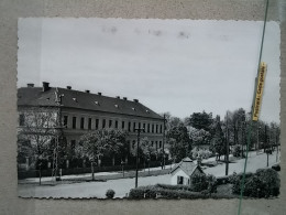 Kov 716-6 - HUNGARY, SZERENCS, SCHOOL, ECOLE - Ungarn