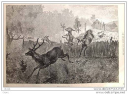 Hirsche Auf Der Flucht - Cerf  - Gravure - Page Original  1883 - Estampas & Grabados