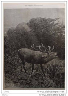 Röhrender Hirsch- Cerf Bramant - Alter Stich 1883  -  Gravure - Estampes & Gravures