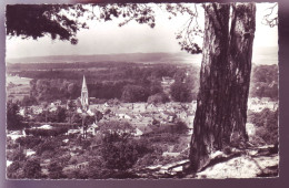 91 - LA FERTE-ALLAIS - VUE GÉNÉRALE -  - La Ferte Alais