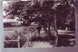 03 - VICHY - BORDS DE L'ALLIER - ANIMÉE -  - Vichy