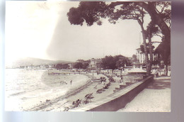 06 - JUANS-les-PINS - LA PLAGE VUE DES PINEDES -  - Juan-les-Pins