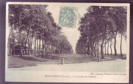 91 - MONTGERON - L'AVENUE DU CHATEAU -  - Montgeron