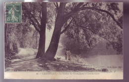 94 - CHAMPIGNY - LE SENTIER DE CHAMPIGNY A CHENNEVIERES - ANIMÉE -  - Champigny Sur Marne