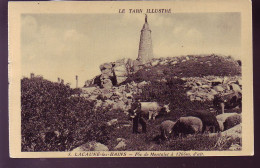 81 - LACAUNE-les-BAINS - PIC DE MONTALET - ANIMEE -  - Autres & Non Classés