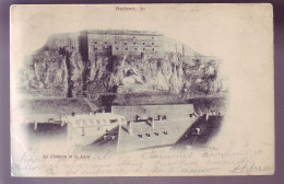 90 - BELFORT - LE CHATEAU ET LE LIOU -  - Belfort - Stadt