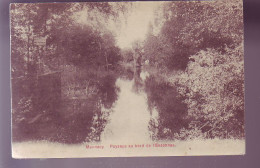 91 - MENNECY - PAYSAGE AU BORD DE L'ESSONNE -  - Mennecy