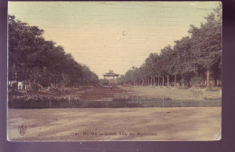 51 - REIMS - GRANDE ALLEE DES MARONNIERS - COLORISEE -  - Reims