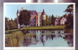 38 - CHABONS - CHATEAU DE PUPETIERES - COLORISEE -  - Other & Unclassified