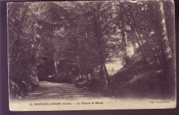 78 - MONTFORT-L'AMAURY - LE CHEMIN DE BLUCHE -  - Montfort L'Amaury