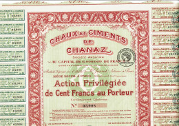 73-CHAUX ET CIMENTS DE CHANAZ.  A P   Capital 6 MF. - Autres & Non Classés