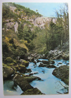 FRANCE - VAUCLUSE - FONTAINE DE VAUCLUSE - Les Cascades De La Sorgue - Sonstige & Ohne Zuordnung