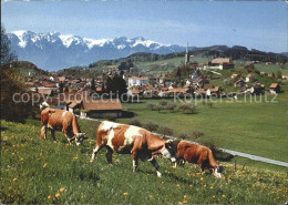 11870773 Chatel-St Denis Panorama Rinder Chatel-St-Denis - Sonstige & Ohne Zuordnung