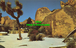 R581916 Hidden Valley. Joshua Tree National Monument. Western Resort Publication - Monde