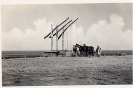 HORTOBÁGY UNGARN-HONGRIE-HUNGARY - LOVAK ÍTATÁSA - TRÄNKEN DER PFERDE - CARTOLINA FOTOGRAFICA FP NON UTILIZZATA - Ungarn