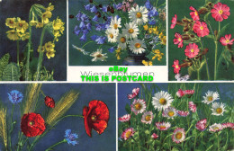 R581226 Wiesenblumen. Field Flowers. E. Gyger And Klopfenstein. Multi View. 1963 - World