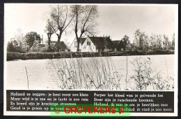 Hollands Landschap Ca 1935  - Sonstige & Ohne Zuordnung