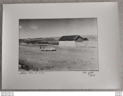 ALTIPLANO BOLIVIEN PRES D'ORURO GRANDE PHOTO ORIGINALE SIGNEE  FORMAT 40 X 30 CM - Places