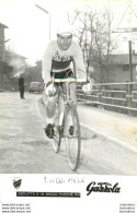 LUIGI MELE  AVEC AUTOGRAPHE DEDICACE ORIGINAL AU VERSO - Radsport