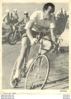 BALDINI IMP STE-ANNE MARSEILLE FORMAT 23 X 17 CM - Cyclisme
