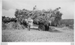 CULTURE LES FOINS PHOTO ORIGINALE 11 X 7 CM - Profesiones