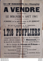 AFFICHE BEAUMONT YONNE 08/1905 VENTE DE PEUPLIERS FORMAT 43 X 31 CM - Afiches