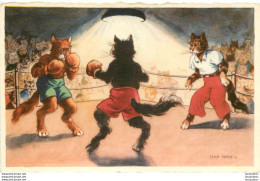 CHATS HUMANISES COMBAT DE BOXE ILLUSTRATEUR  JEAN PARIS - Gatti