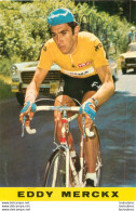 EDDY MERCKX C10 - Cyclisme