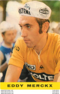 EDDY MERCKX C2 - Radsport