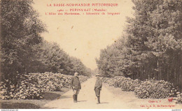 50 PEPINVAST L'ALLEE DES HORTENSIAS 1 KILOMETRE DE LONGUEUR - Altri & Non Classificati