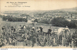 51 AU PAYS DU CHAMPAGNE LA VIGNE ET LE VIN LE TRAVAIL DE LA VIGNE LA VENDANGE - Vines