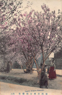 Japan - FUKUOKA - Cherry Blossoms - Andere & Zonder Classificatie