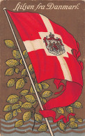 Denmark - Dansk Flag - Danish Flag - Danimarca