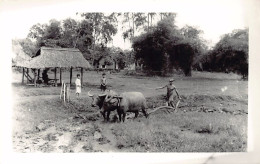 Vietnam - Le Laboureur à La Campagne - CARTE PHOTO  - Viêt-Nam