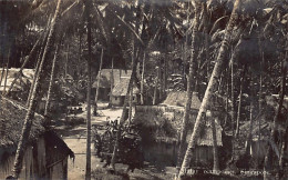 Singapore - Malay Kampongs - REAL PHOTO - Publ. Unknown  - Singapore