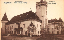 Romania - CAREI - Castelul Cont. Carolyi - Romania