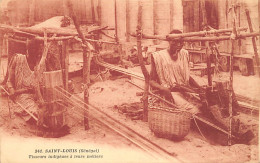 Sénégal - SAINT-LOUIS - Tisseurs Indigènes à Leurs Métiers - Ed. P. Tacher 241 - Senegal