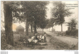 51 JALONS LES VIGNES ROUTE DE CHAMPIGNEUL - Sonstige & Ohne Zuordnung