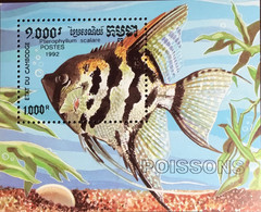 Cambodia 1992 Fish Minisheet MNH - Pesci