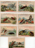 Lot De 7 Chromos Chocolat Poulain Les Insectes Nuisibles à Détruire - Poulain