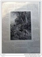 Hirsch - Cerf - Gravure Ch. Kröner - Page Original  1883 - Estampes & Gravures