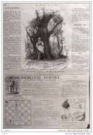 Échecs - Problème N° 967 Par M. Ch. Le Charpentier - Schach - Chess - Page Original 1883 - Historical Documents