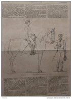 étude Sur Les Proportions Du Cheval - Page Original - 1883 - 3 - Historische Dokumente