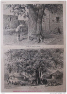 L'expédition Francaise Dans Le Haut-Sénégal - Louise, La Lionne De Médine - Le Marché De Bakel  - Page Original - 1883 - Historische Documenten