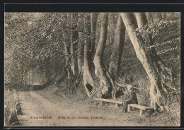 AK Gremsmühlen, Holm An Der Schönen Aussicht  - Other & Unclassified