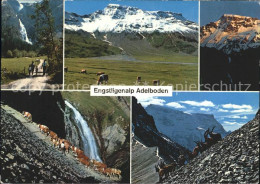 11864318 Adelboden Engstligenalp Wasserfall Ziege Kuehe  Adelboden BE - Autres & Non Classés